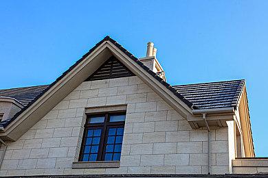 肉鸽世界开枪店 《霓虹枯萎病》上市日期预告片公布